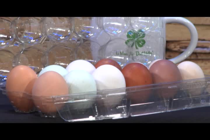 Thumbnail image for Fur Fins and Feathers [Ep 123] | 3/15