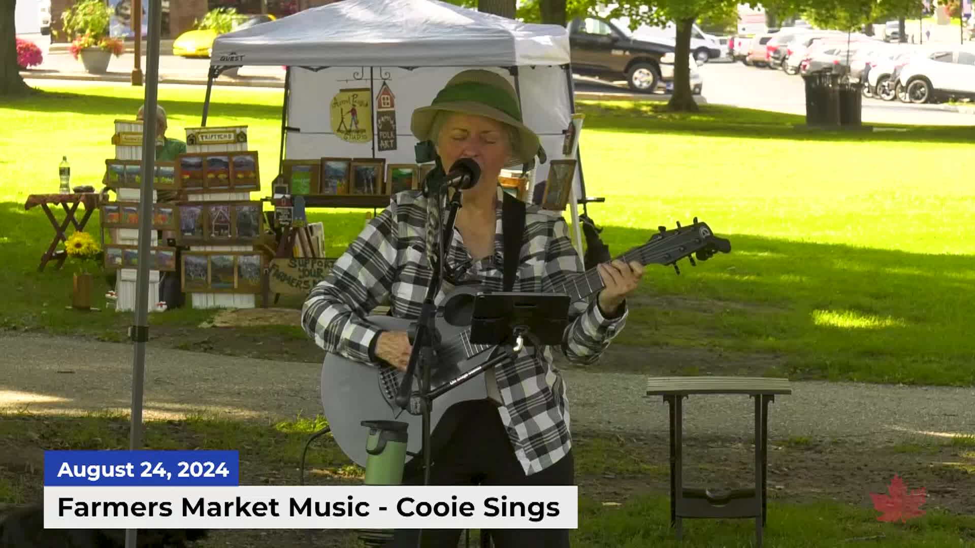 Thumbnail image for Taylor Park Farmers Market Music 20240824