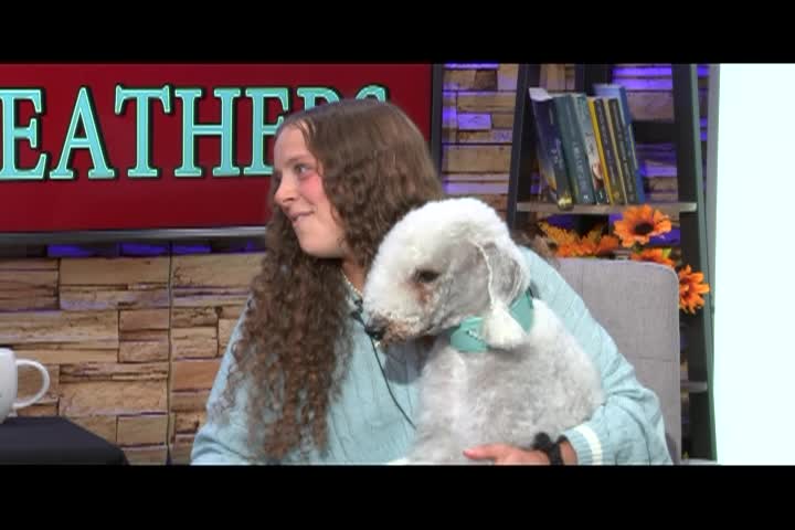 Fur,_Fins_and_Feathers_Ep_133