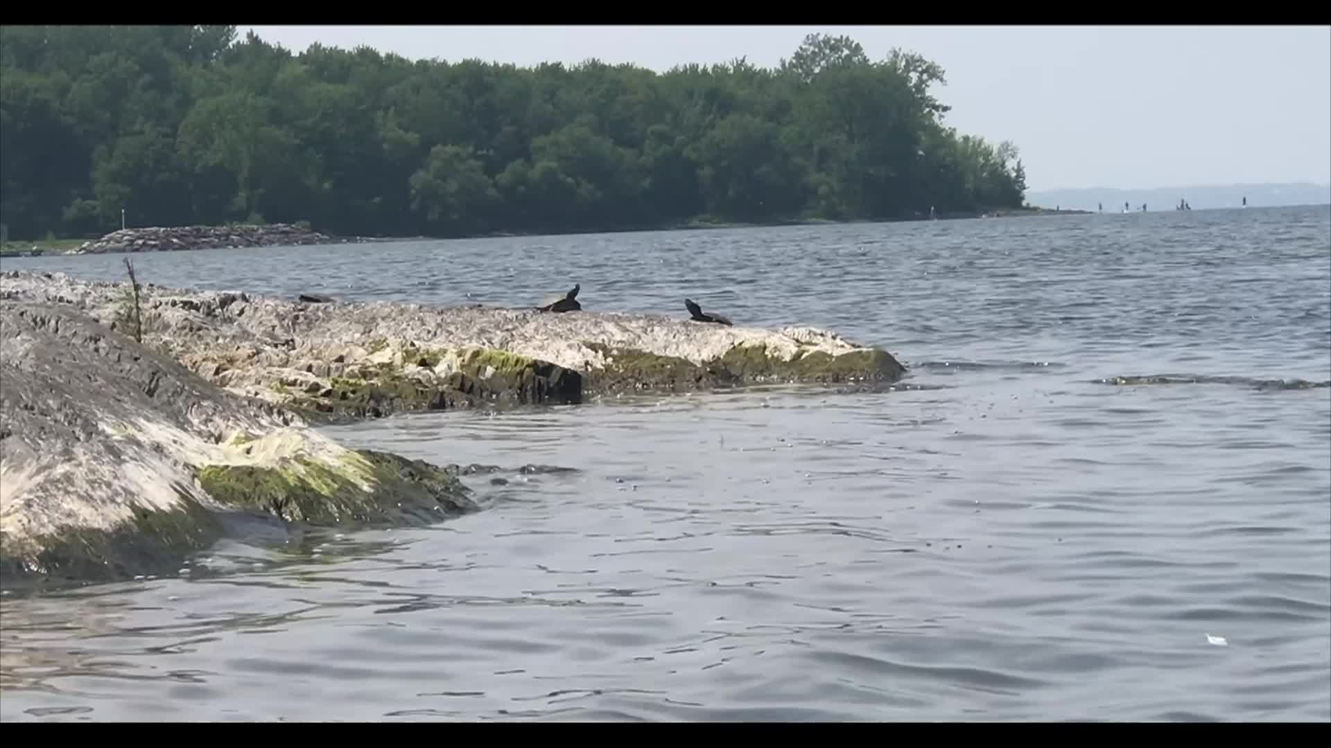 Thumbnail image for Rations - Episode Thirteen