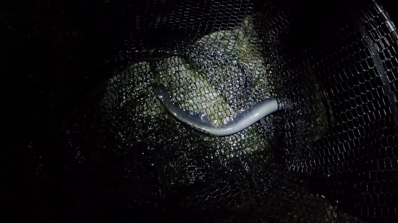 Graham Montague Episode 9