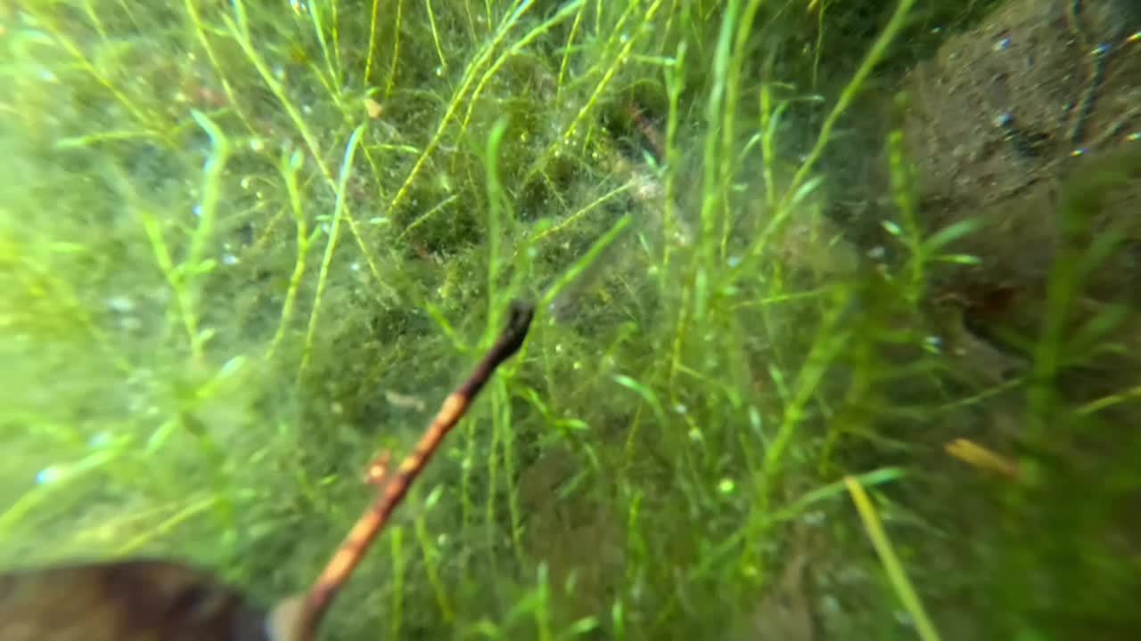 Graham Montague Episode 8