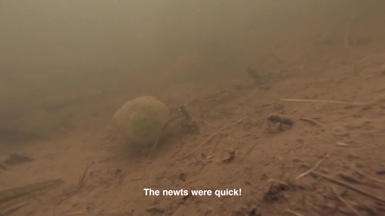 Graham Montague Episode 6