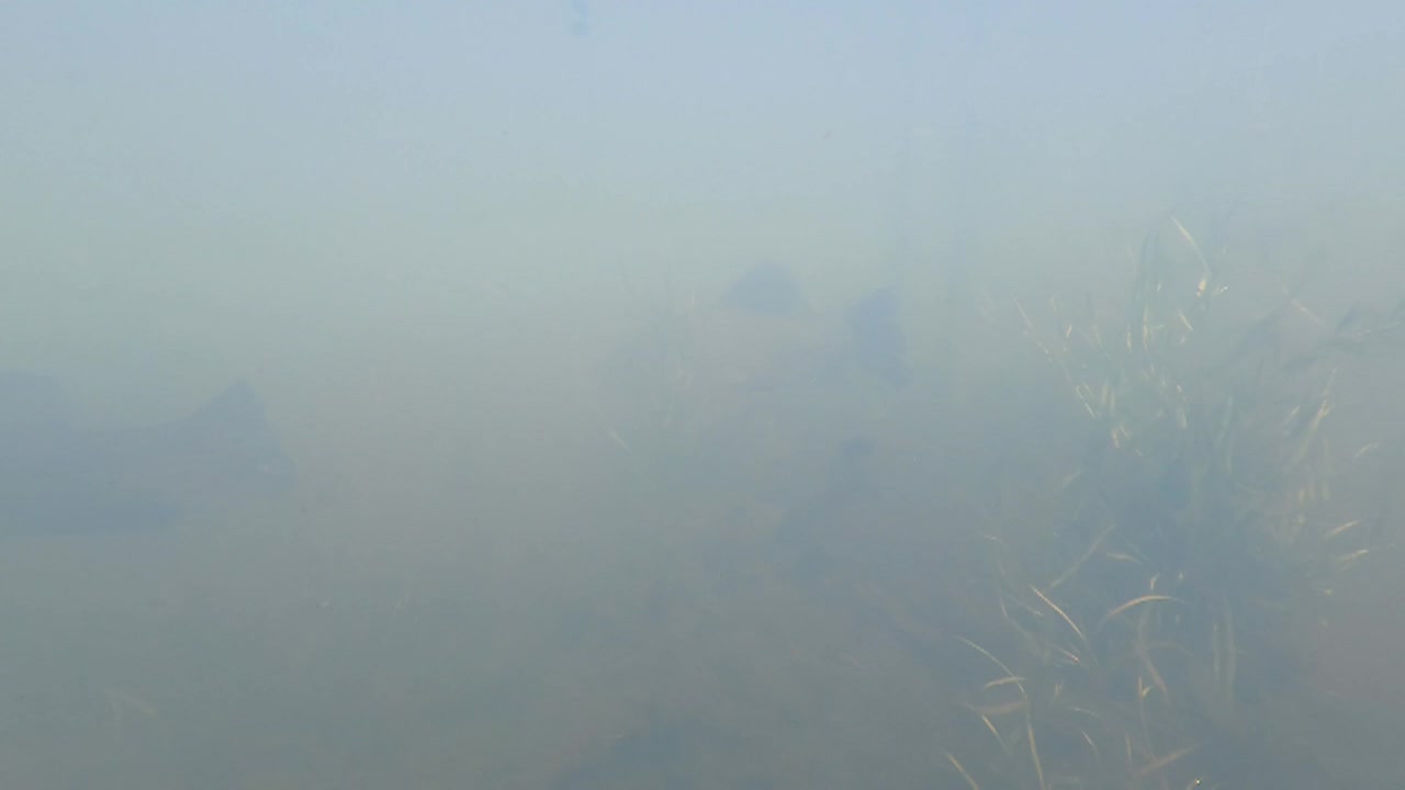 Graham Montague Episode 3