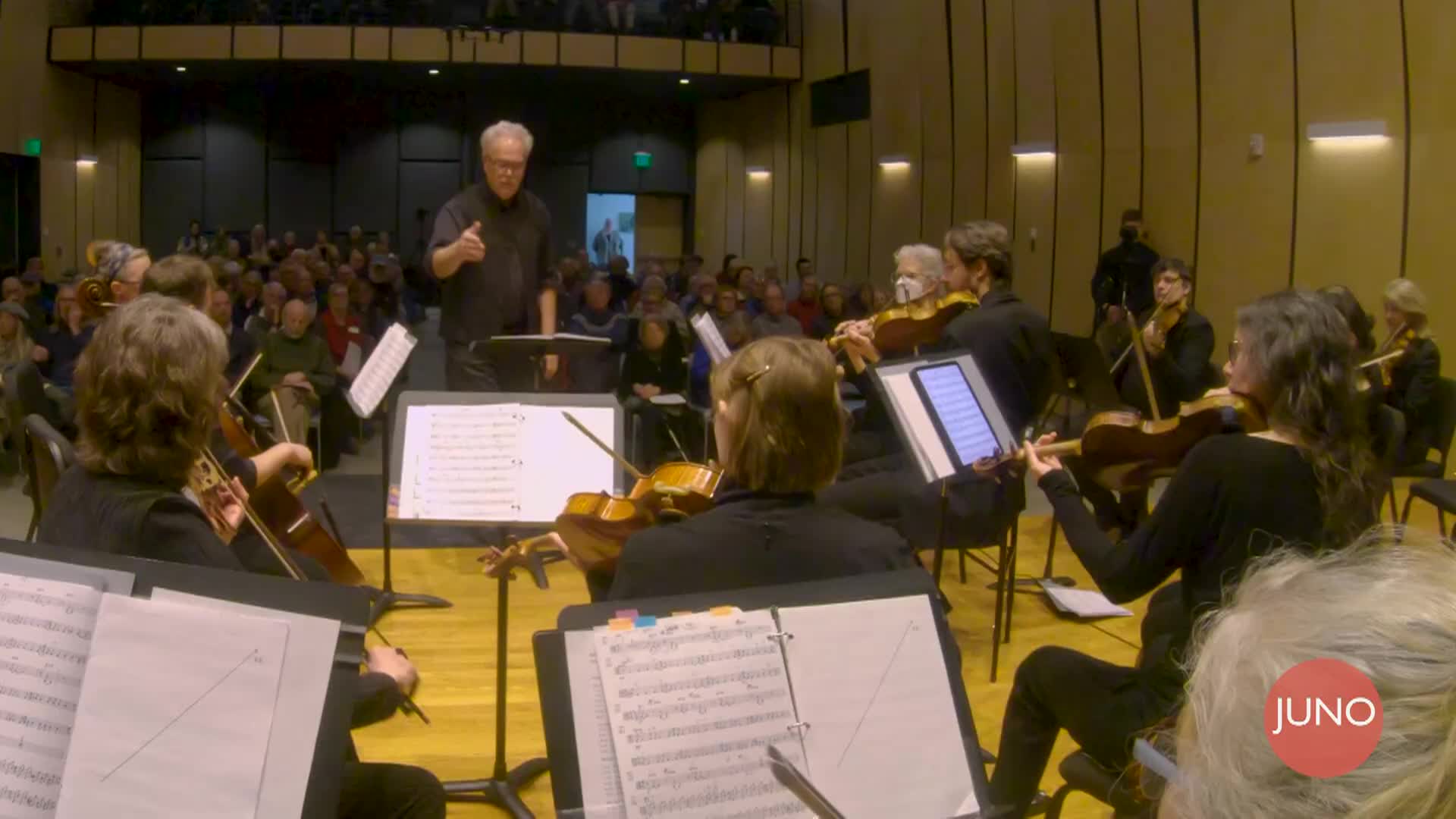 Thumbnail image for Juno Orchestra [This World-String Quartet No 5] | 04/02/2026