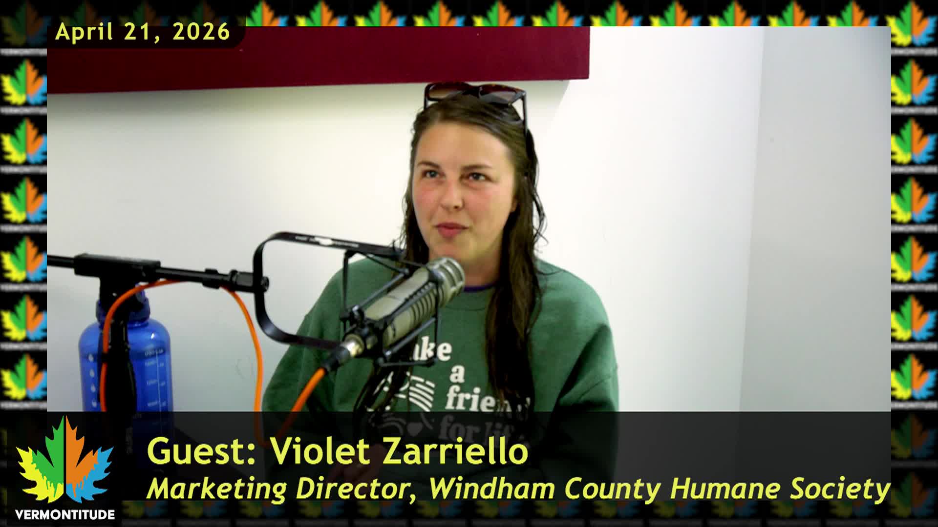 Thumbnail image for Vermontitude [Wags to Riches with Violet Zarriello] | 04/21/2026