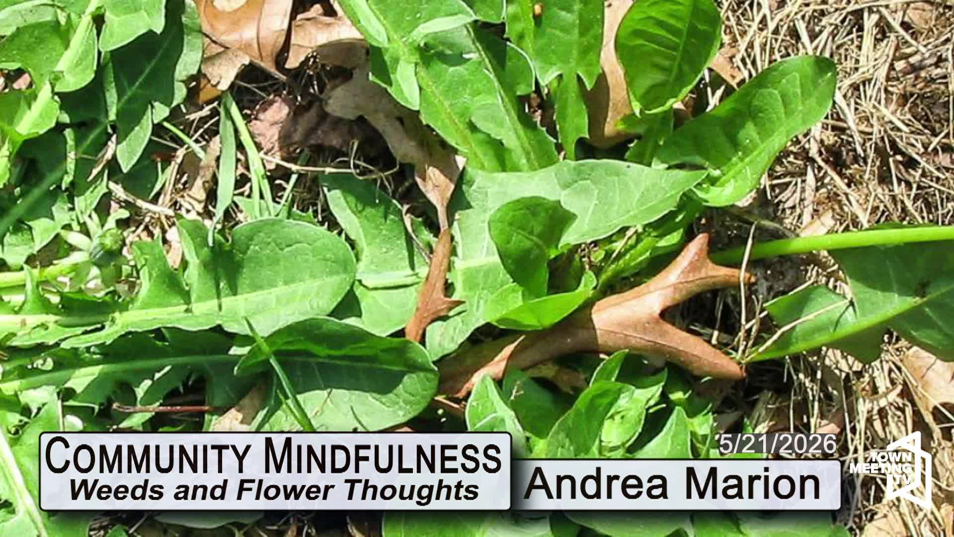 Thumbnail image for Community Mindfulness [Weeds and Flower Thoughts] | 05/21/2026