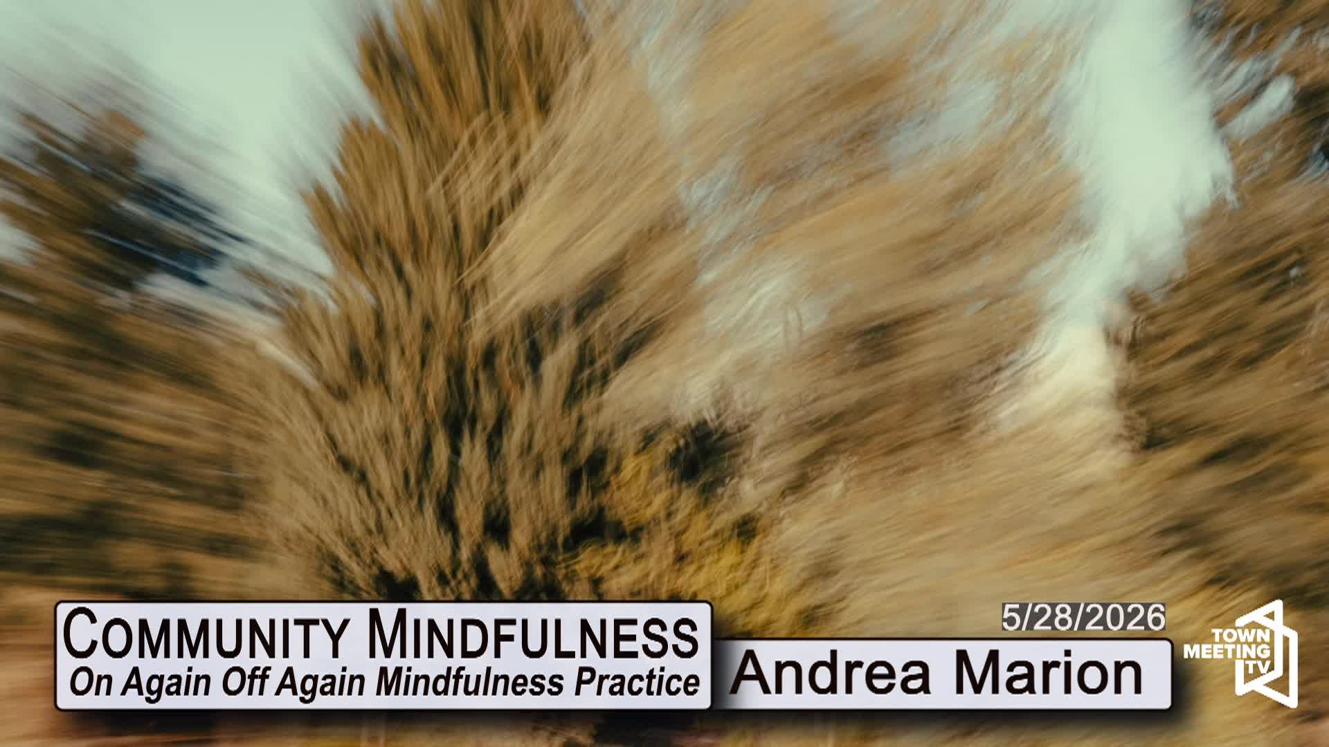 Thumbnail image for Community Mindfulness [On Again Off Again Mindfulness Practice] | 05/28/2026